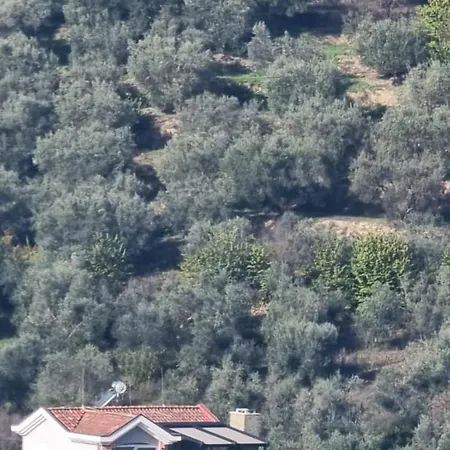 Villa Reos Polisi i Vogel