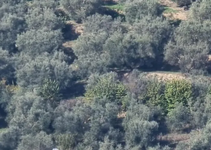 Villa Reos Polisi i Vogel